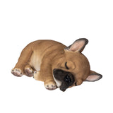 FRENCHIE SLEEPING C/24