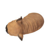 FRENCHIE SLEEPING C/24