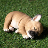 FRENCHIE SLEEPING C/24
