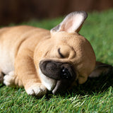 FRENCHIE SLEEPING C/24
