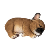 FRENCHIE SLEEPING C/24