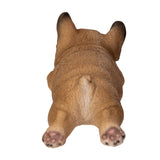 FRENCHIE SLEEPING C/24
