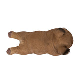 FRENCHIE SLEEPING C/24