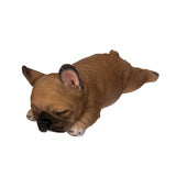 FRENCHIE SLEEPING C/24