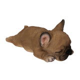 FRENCHIE SLEEPING C/24