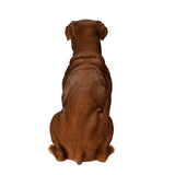 BOXER