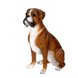 BOXER