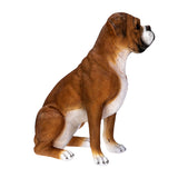 BOXER
