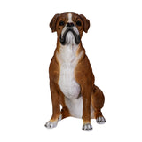 BOXER