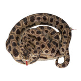 BOA SNAKE