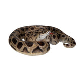 BOA SNAKE