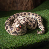 BOA SNAKE