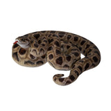 BOA SNAKE