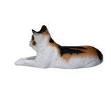 LYING CALICO CAT C/4