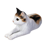 LYING CALICO CAT C/4