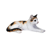 LYING CALICO CAT C/4