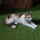 LYING CALICO CAT C/4