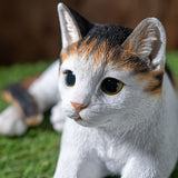LYING CALICO CAT C/4