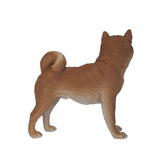 SHIBA INU