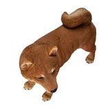 SHIBA INU
