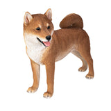 SHIBA INU