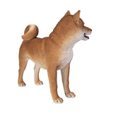 SHIBA INU