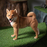 SHIBA INU