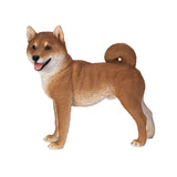 SHIBA INU