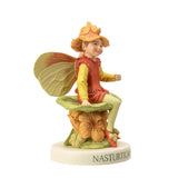 NASTURTIUM FAIRY C/72