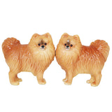 ^ POMERANIAN S & P C/48 MINIMUM OF 4