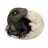 ^ DINOSAUR EGG C/24