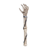 SKELETON BACK SCRATCHER C/12