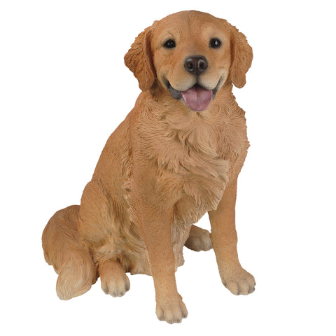 GOLDEN RETRIEVER C/1