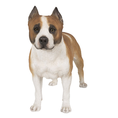 PITT BULL C/1