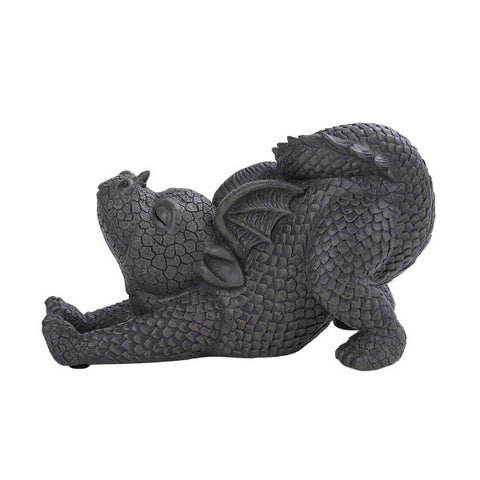GARDEN DRAGON STRETCH C/6