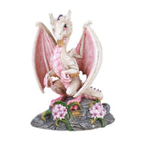 GARLIC DRAGON C/24