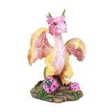 ONION DRAGON C/24