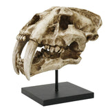 SABERTOOTH SKULL C/4