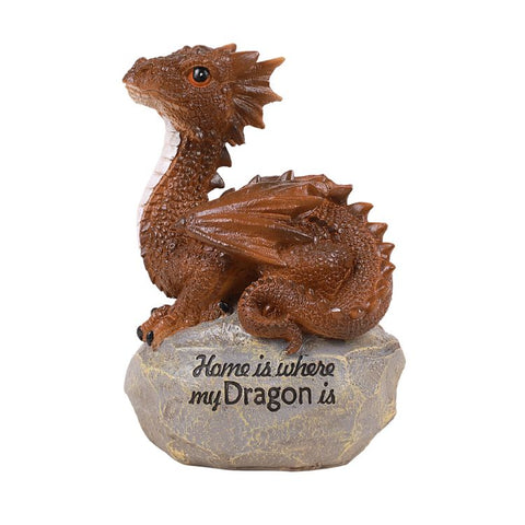 HOME IS WHERE MY DRAGON IS C/12