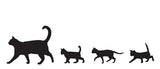 Cat March Mug