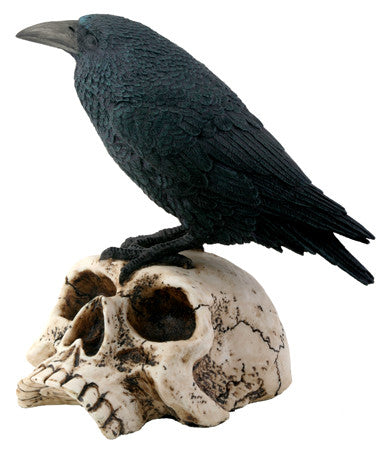 RAVEN ON SKULL, C/12