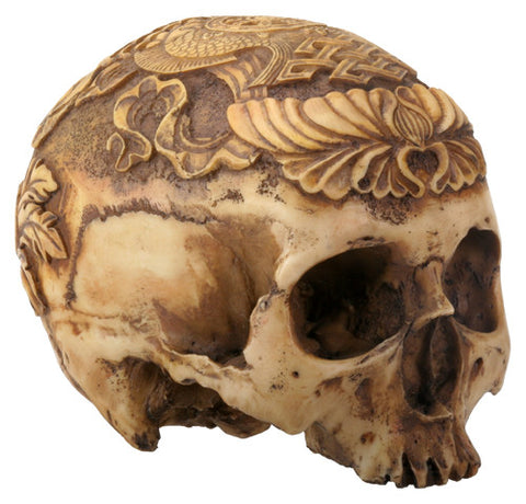 Human Head Skull