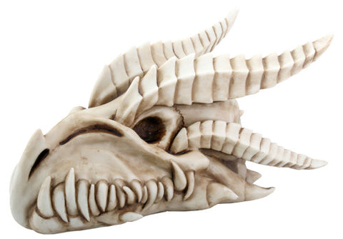 SMALL DRAGON SKULL, C/8