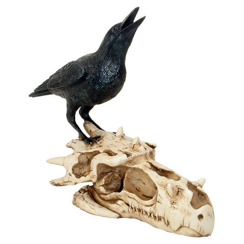 Raven on Dragon Skull