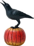 Raven on Pumpkin