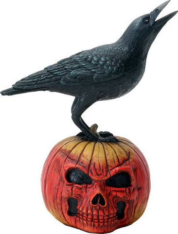 Raven on Pumpkin